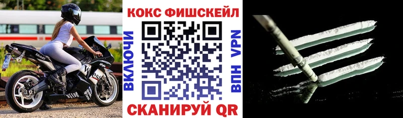 Кокаин FishScale  кракен онион  Тавда  как найти закладки 