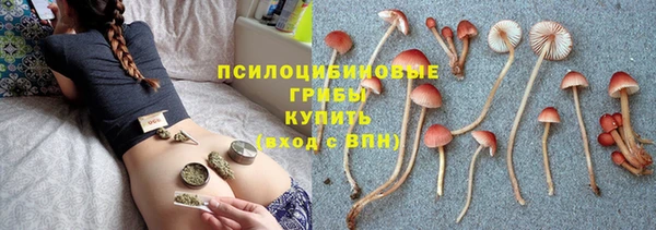 гашик Осташков