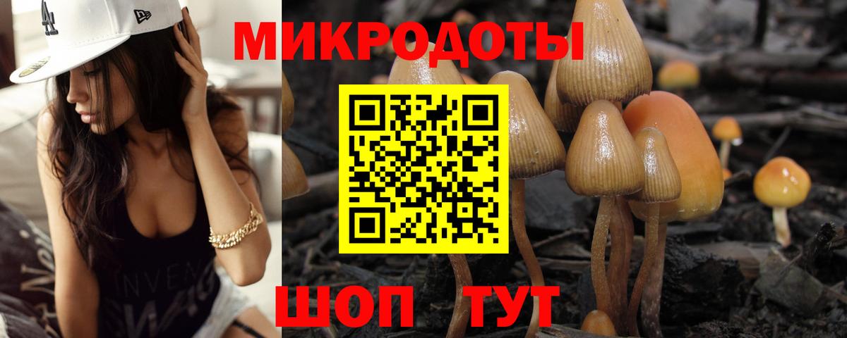 Тавда  Галлюциногенные грибы Psilocybe  Вход с VPN 